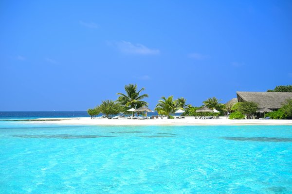 Comment découvrir les traditions de la pêche au filet en Norvège?